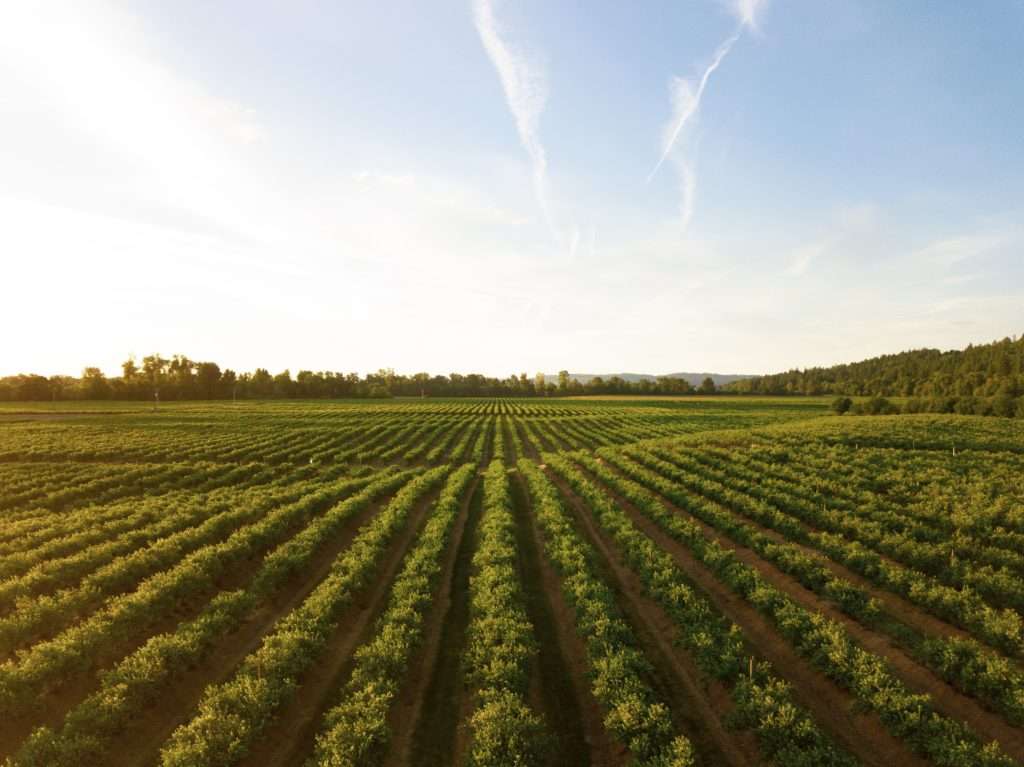 ag edu